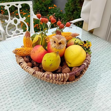 Casa Continentelor Ξενοδοχείο Cimpulung Εξωτερικό φωτογραφία